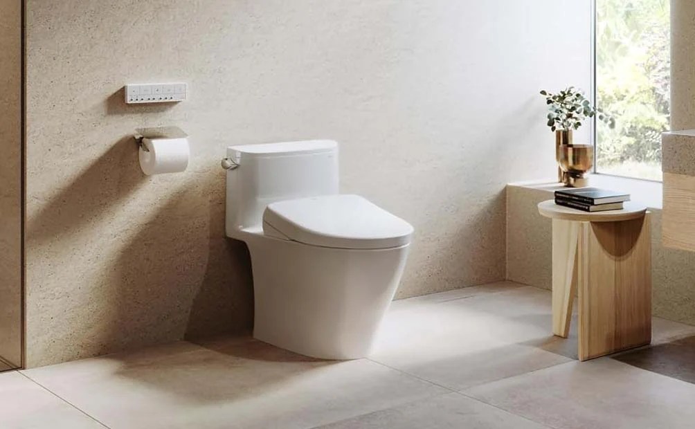 Exploring the Surging Popularity of Bidets in America Bidets Plus