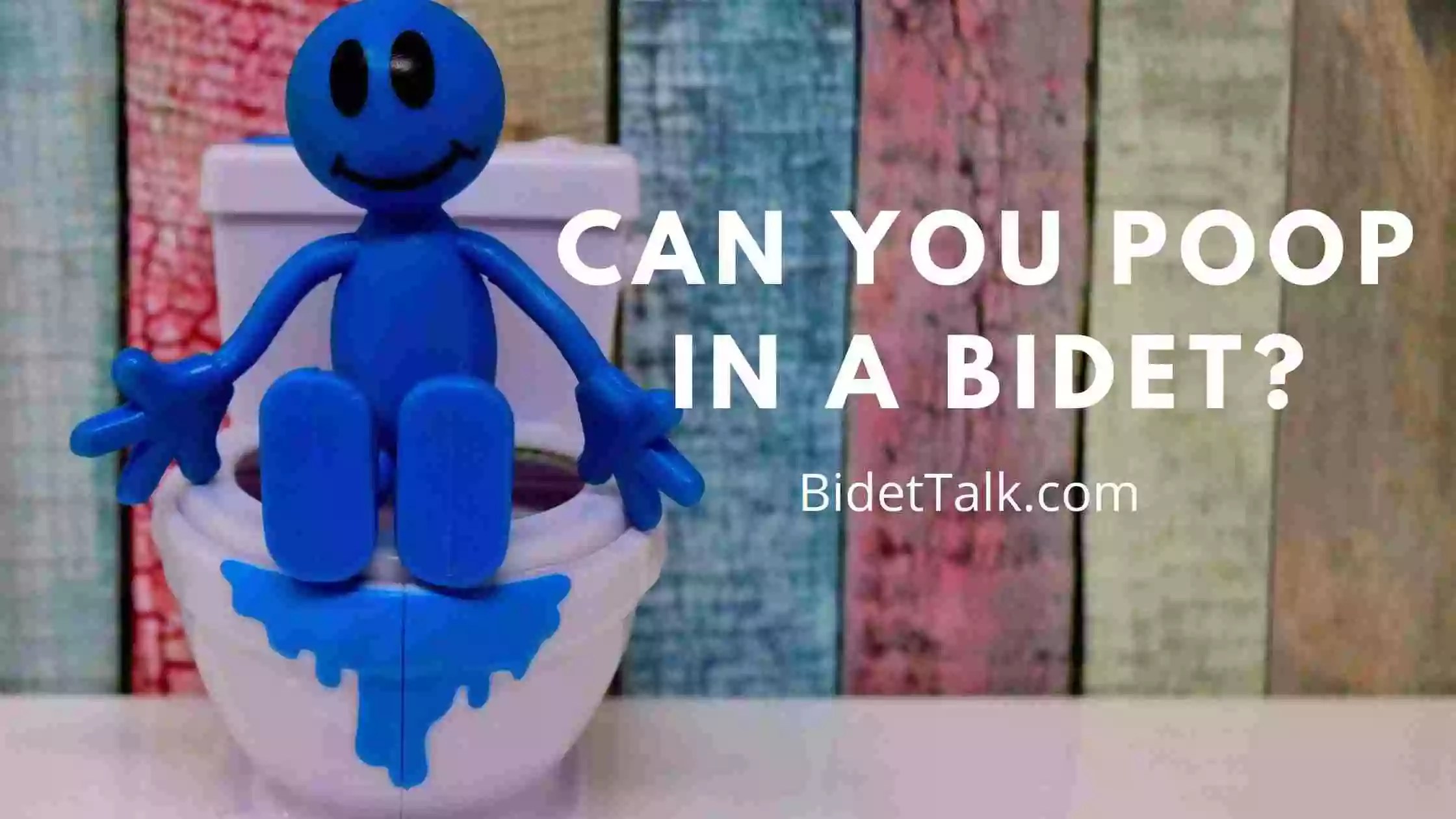 Can You Poop In A Bidet? Yes, But Only If Its The Right One
