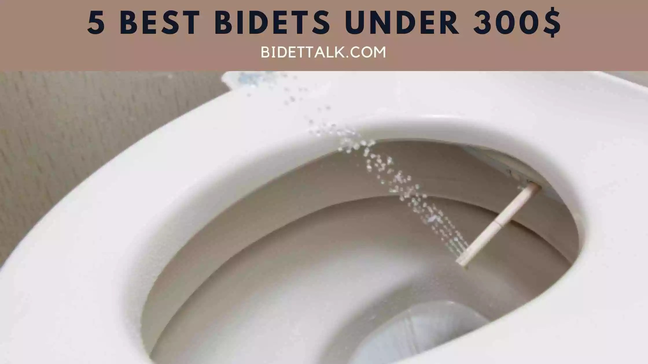5 Best Bidets Under 300 [2024] Expert's
