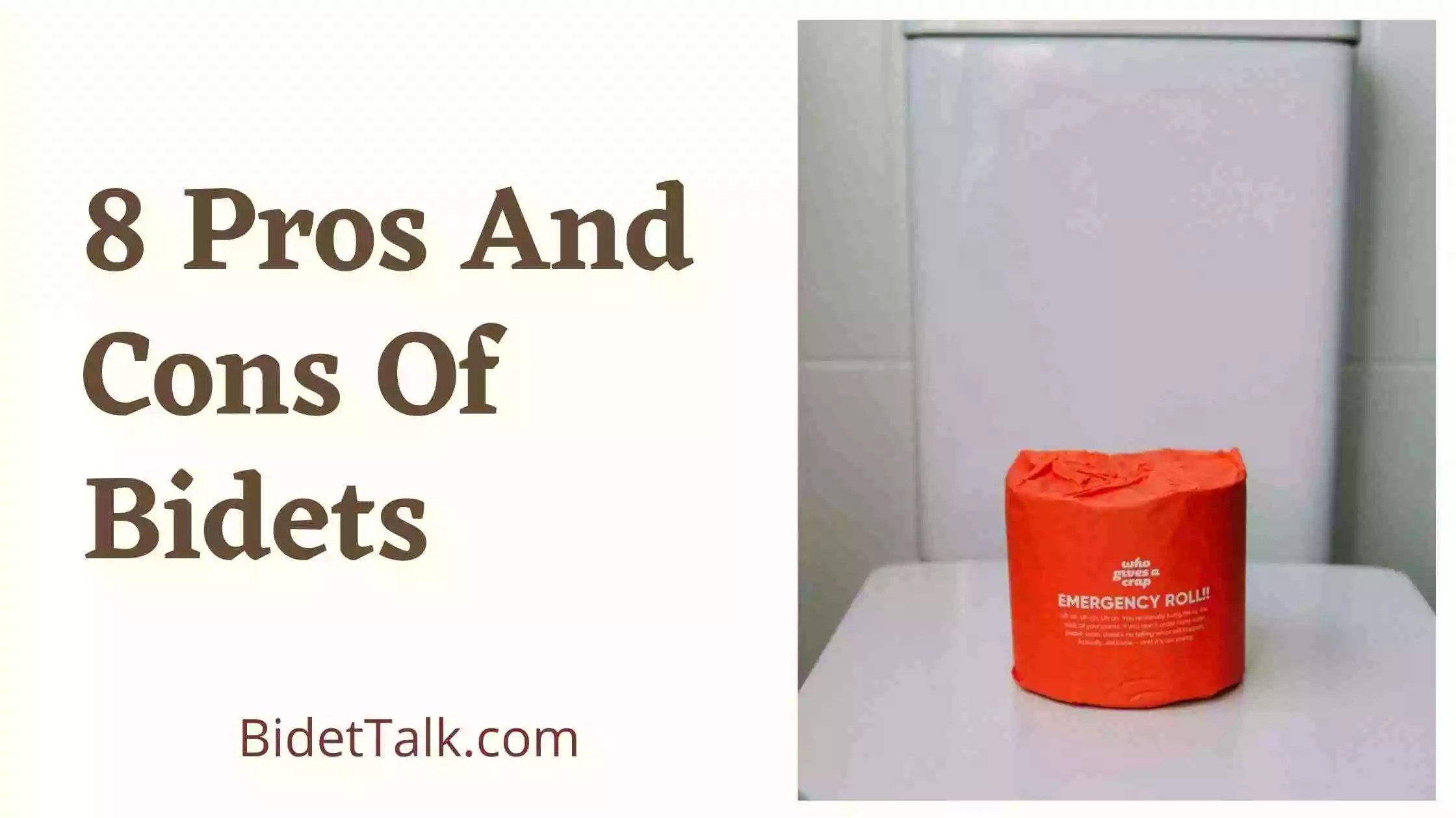 8 Pros and Cons Of Bidets Is Bidet The Right Option For You?