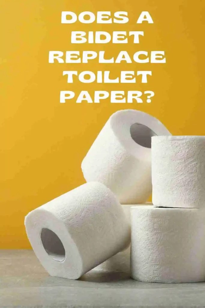 Does A Bidet Replace Toilet Paper Sharing My Experience