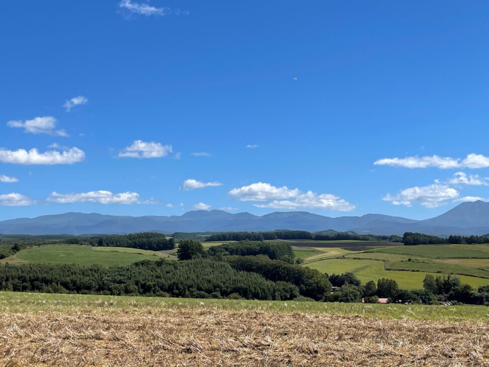 美瑛町 絵織の丘レンタルハウス 北海道、丘のまち美瑛町の宿。宿泊予約はこちらからどうぞ。