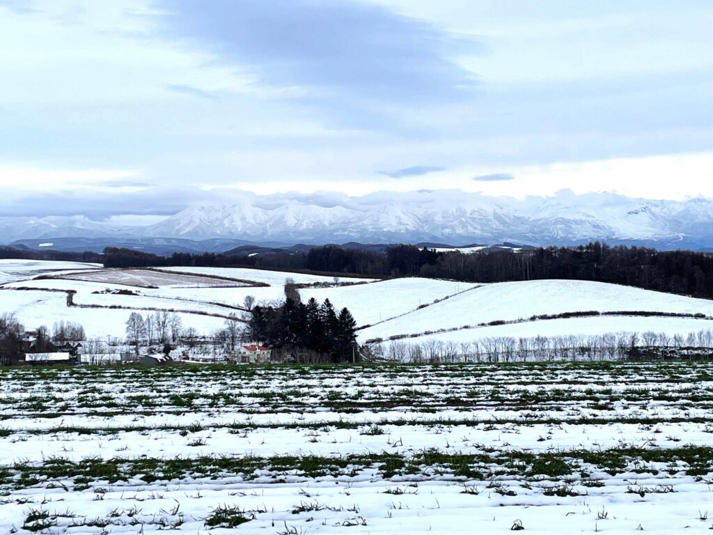 美瑛町 絵織の丘レンタルハウス 北海道、丘のまち美瑛町の宿。宿泊予約はこちらからどうぞ。