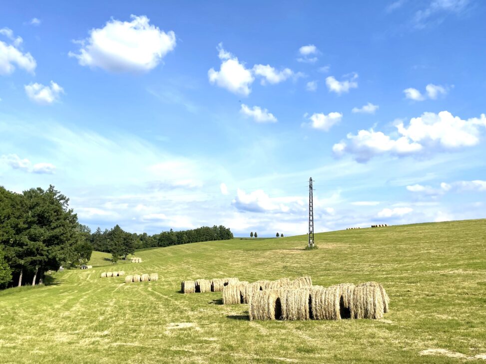 美瑛町 絵織の丘レンタルハウス 北海道、丘のまち美瑛町の宿。宿泊予約はこちらからどうぞ。