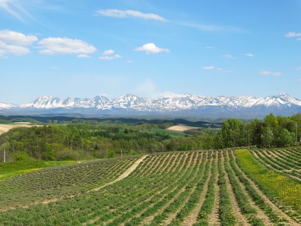 美瑛町 絵織の丘レンタルハウス 北海道、丘のまち美瑛町の宿。宿泊予約はこちらからどうぞ。