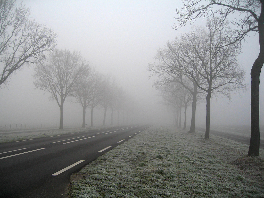 Brouillard et accident Bières et chicons