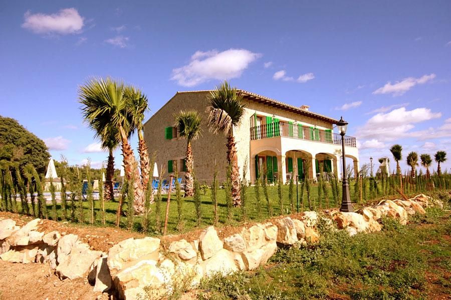 Finca Palmira in Petra (Mallorca Mitte) für 12 Personen mieten