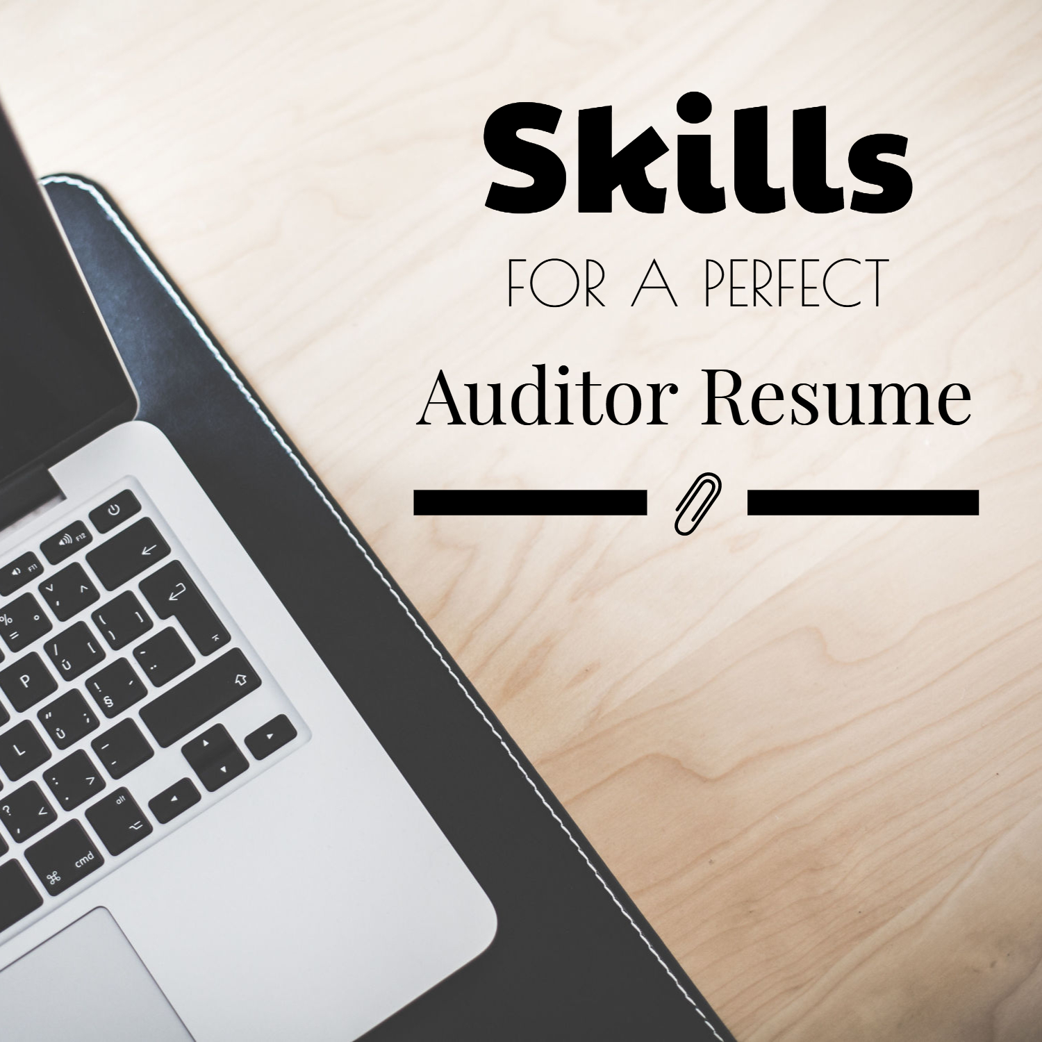 Great Skills For A Perfect Auditor Resume The Big 4 Accounting Firms
