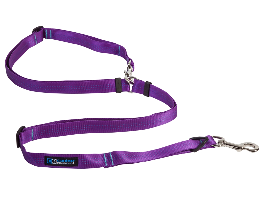 Canine Equipment Beyond Control Leash 3/4″ x 8′ Purple Big Al's Pet