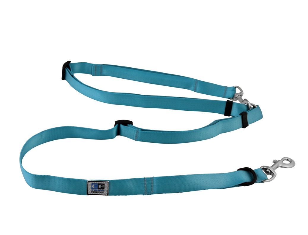 Canine Equipment Beyond Control Leash 1″ x 8′ Aqua Big Al's Pet