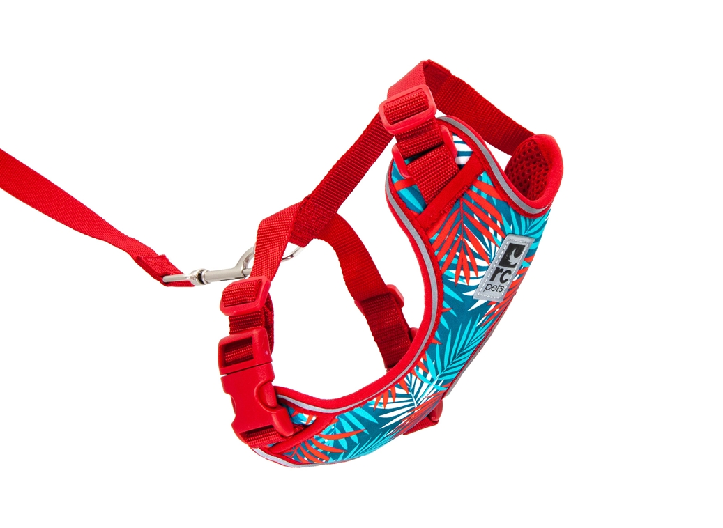RC Pets Adventure Kitty Harness Small 11″15″ x 8″11″ Maldives Big