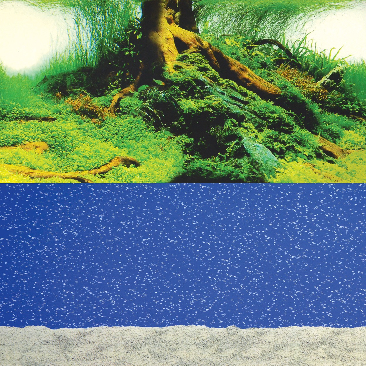 China Nature Aquarium 20″ Bubbling Sand/Amazon Big Al's Pet