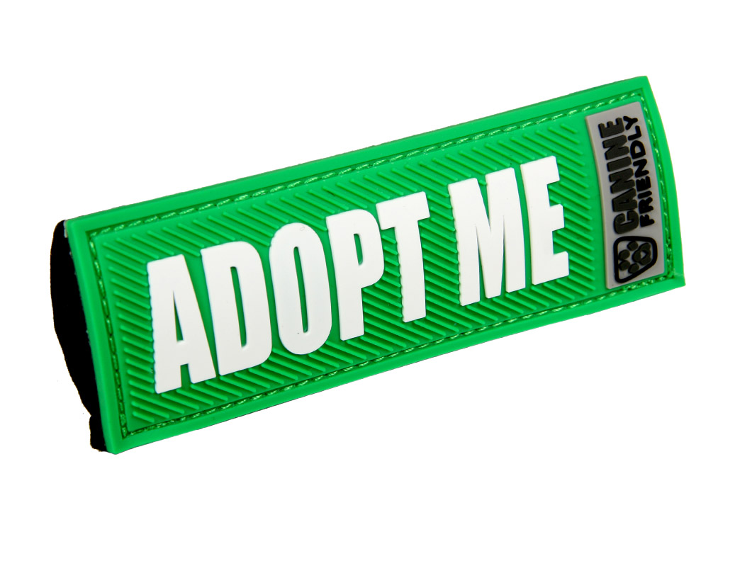 Canine Friendly Bark Notes Dog Collar Tags 1″ Adopt Me Big Al's