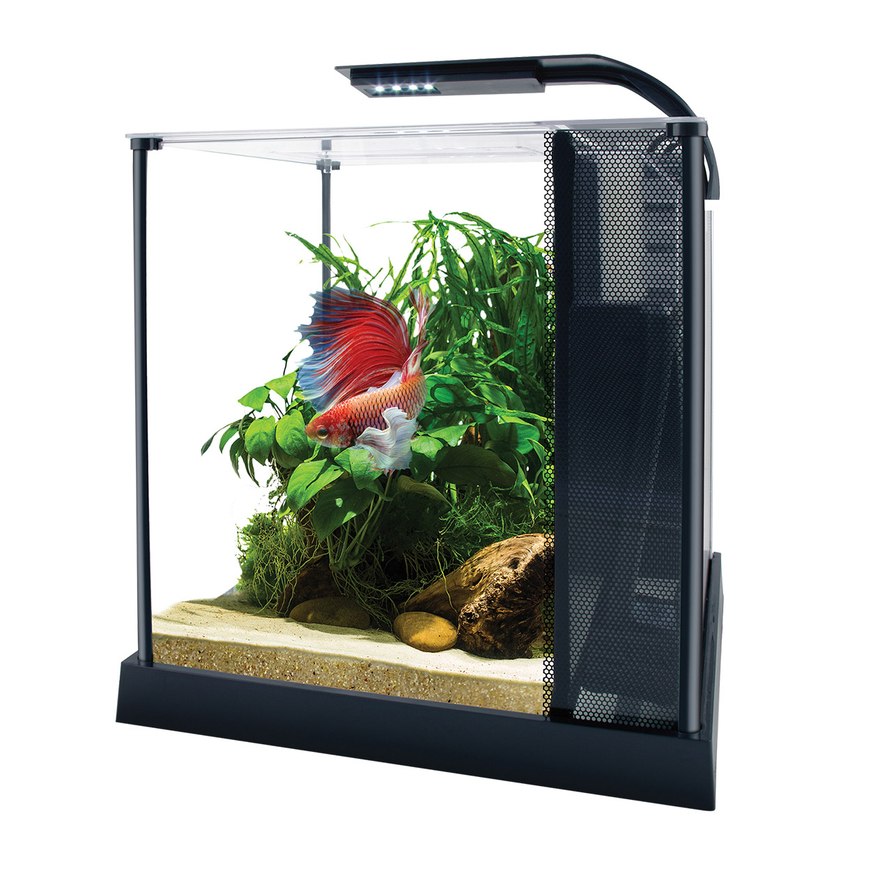 Fluval Betta Premium Aquarium Kit, 2.6 US Gal / 10 L Big Al's Pet