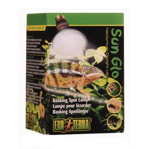 Exo Terra Daylight Basking Spot Lamp R25 / 100 W Big Al's Pet