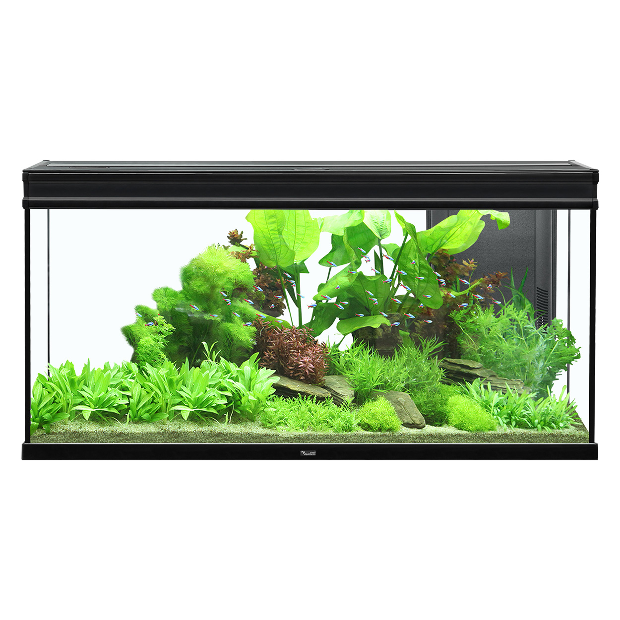 Aquatlantis Aquarium Elegance Expert 120 Tank Black 001 48″x16″x24″ in
