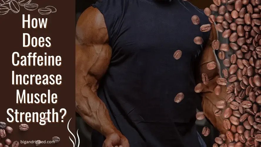 How Does Caffeine Increase Muscle Strength and Power?