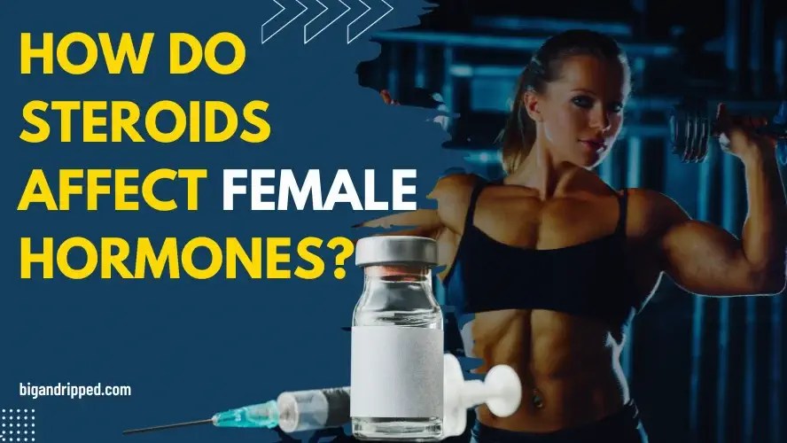 How Do Steroids Affect Female Hormones? BigandRipped