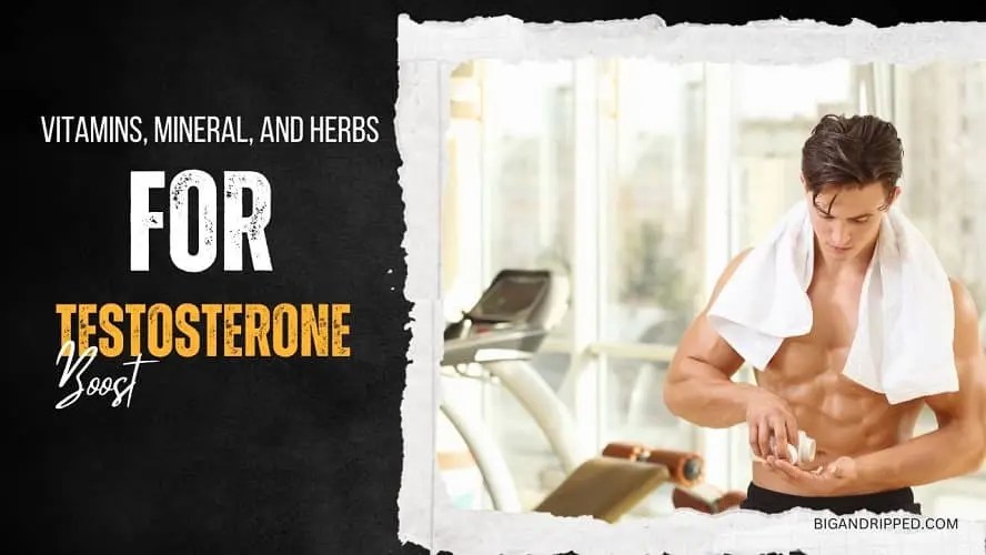 6 Important Vitamins and Minerals for Testosterone Production