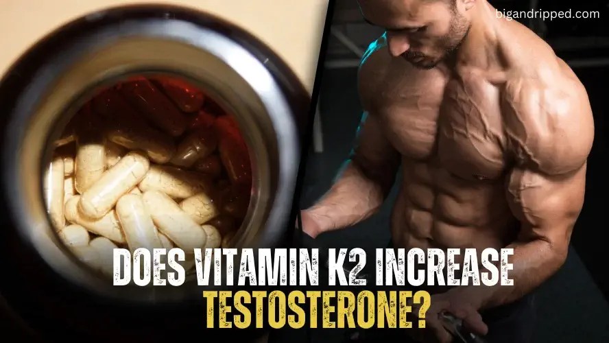 Does Vitamin K2 Increase Testosterone? BigandRipped