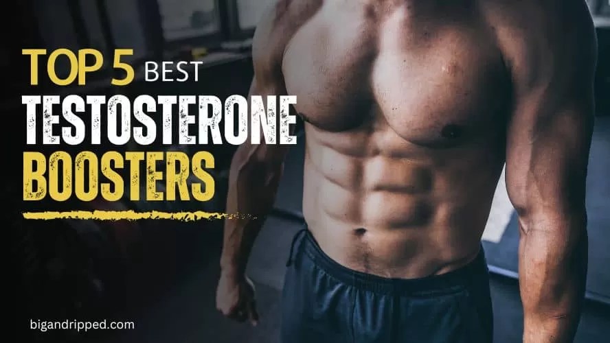 Best Testosterone Boosters for Muscle Gain [Top 5 Supplements]