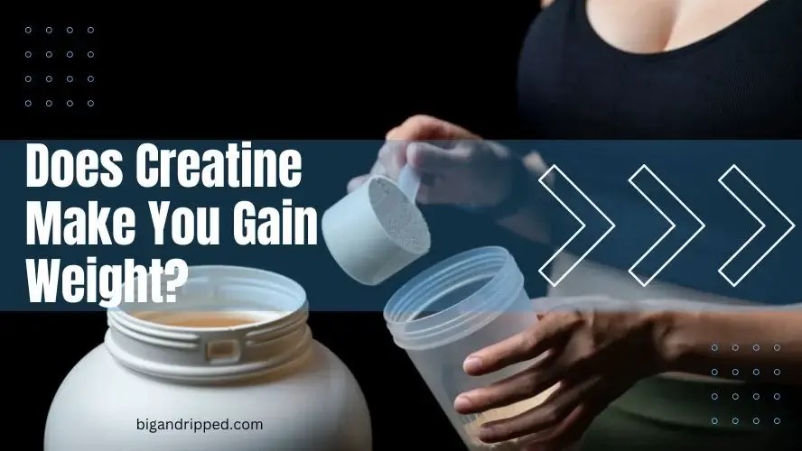 Does Creatine Make You Gain Weight? BIGANDRIPPED