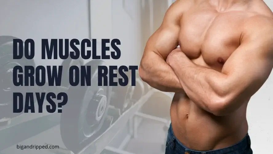 Do Muscles Grow On Rest Days? Unveiling the Truth