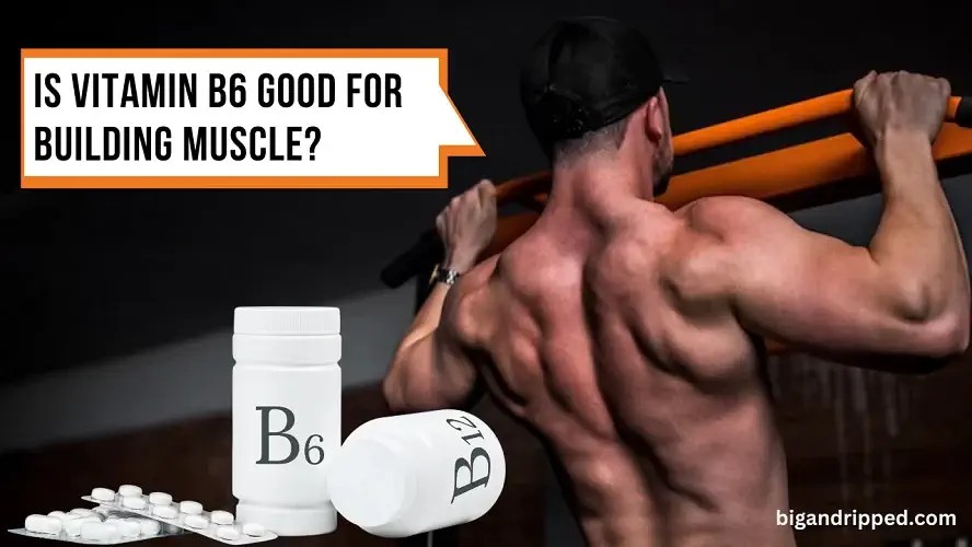Is Vitamin B6 Good for Building Muscle? Your Ultimate Guide