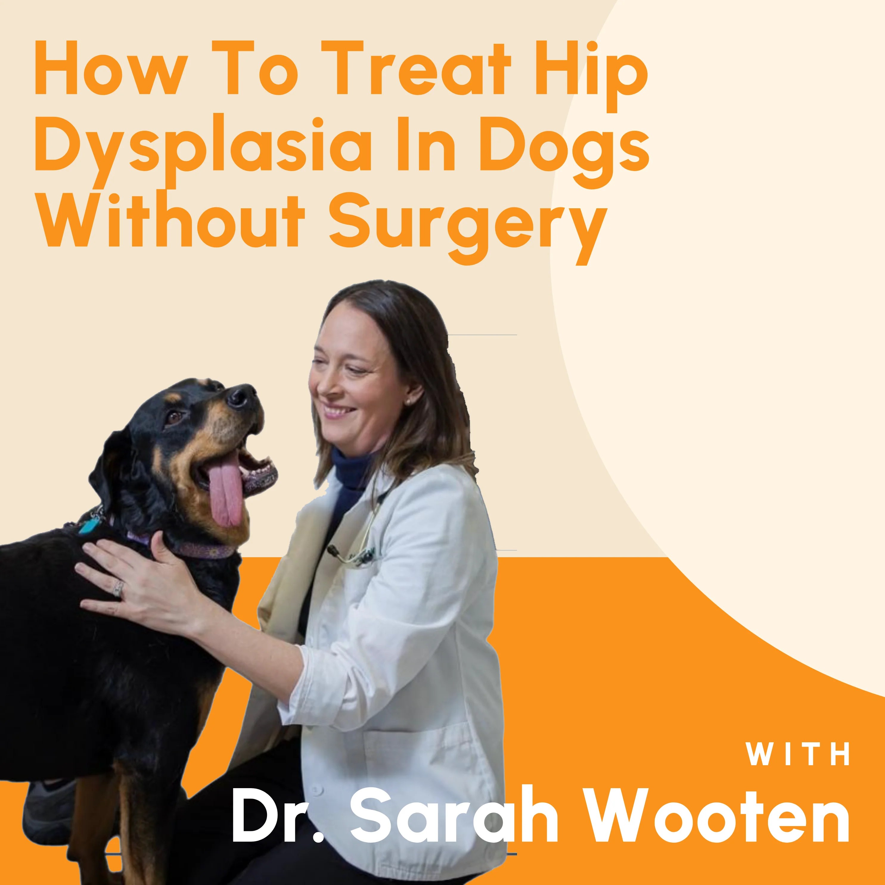 How To Treat Hip Dysplasia In Dogs Without Surgery Big Barker