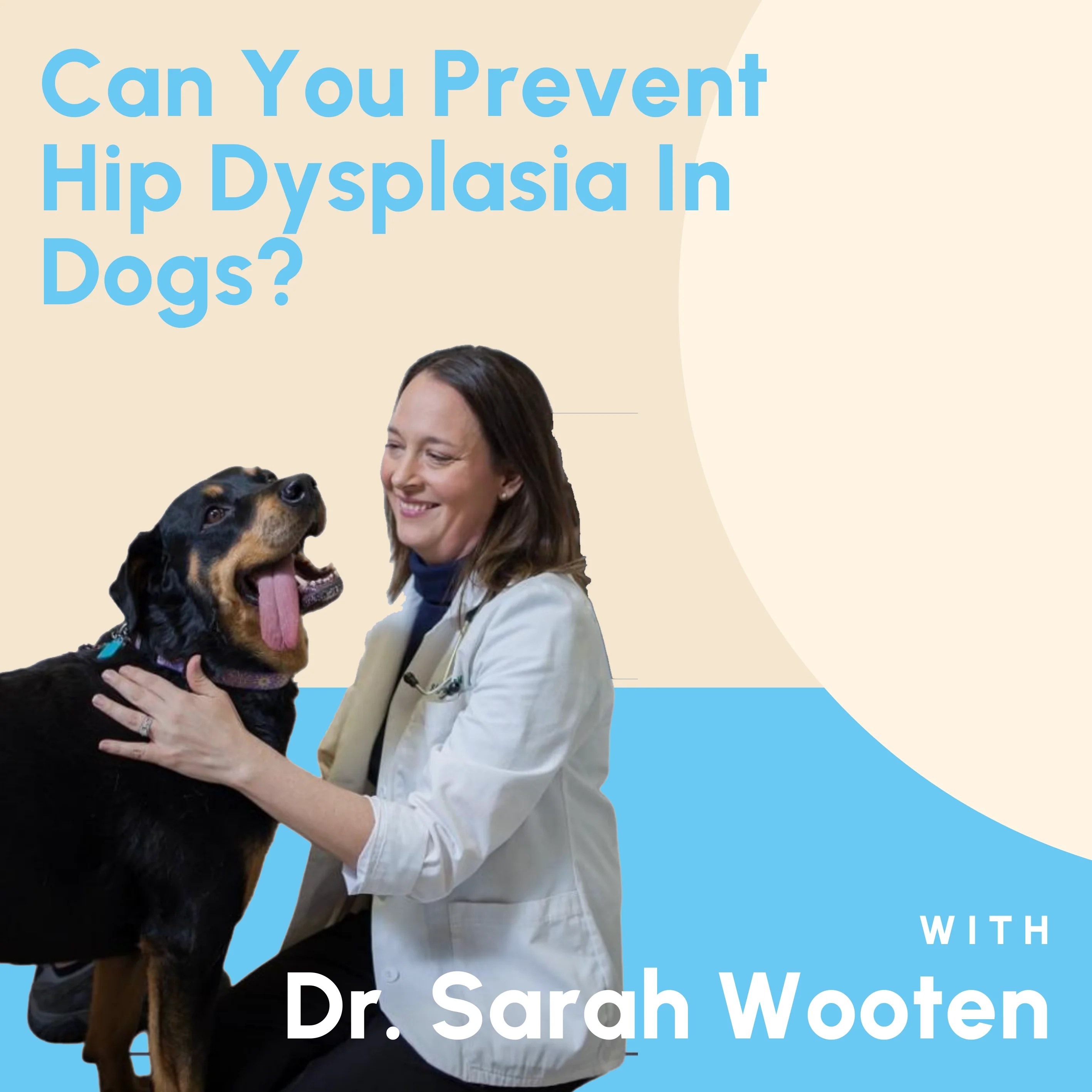 Can You Prevent Hip Dysplasia In Dogs? Big Barker