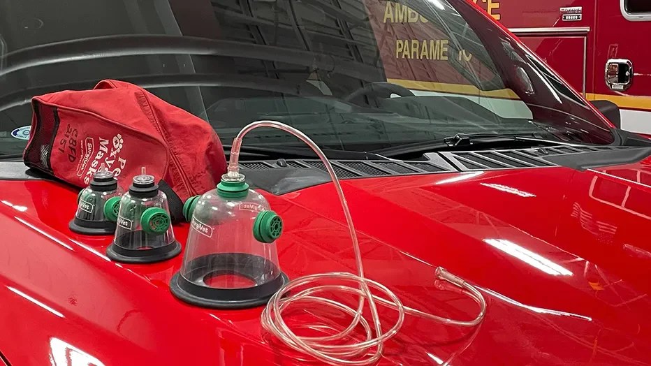 Donated Oxygen Masks Help Save Hero Dog Big Barker