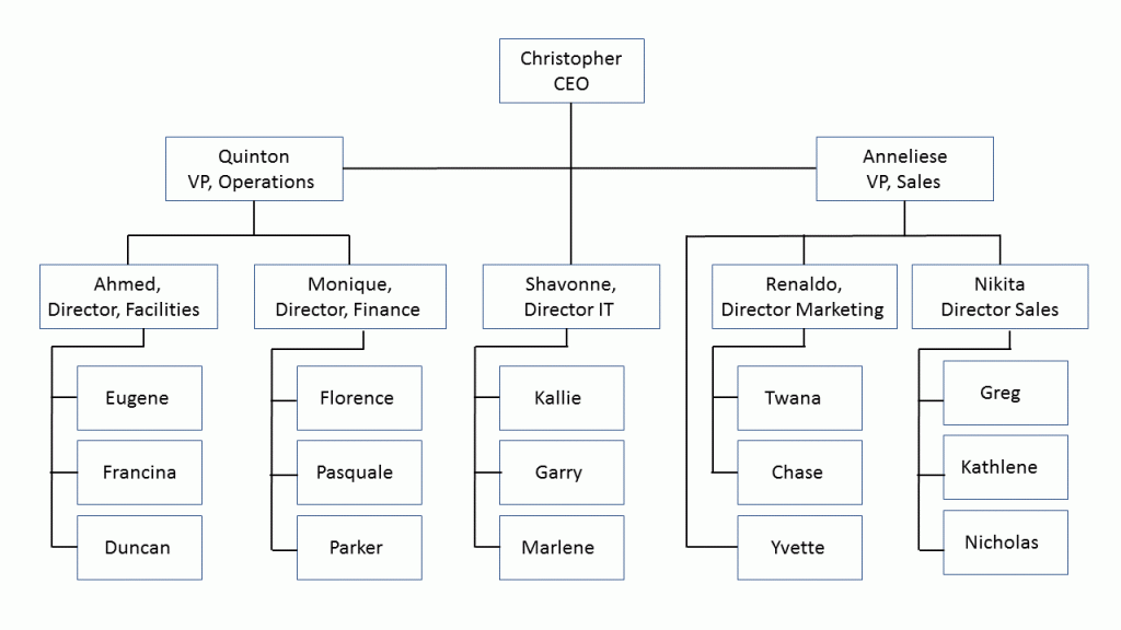 Data Techniques Ragged Hierarchical Dimensions