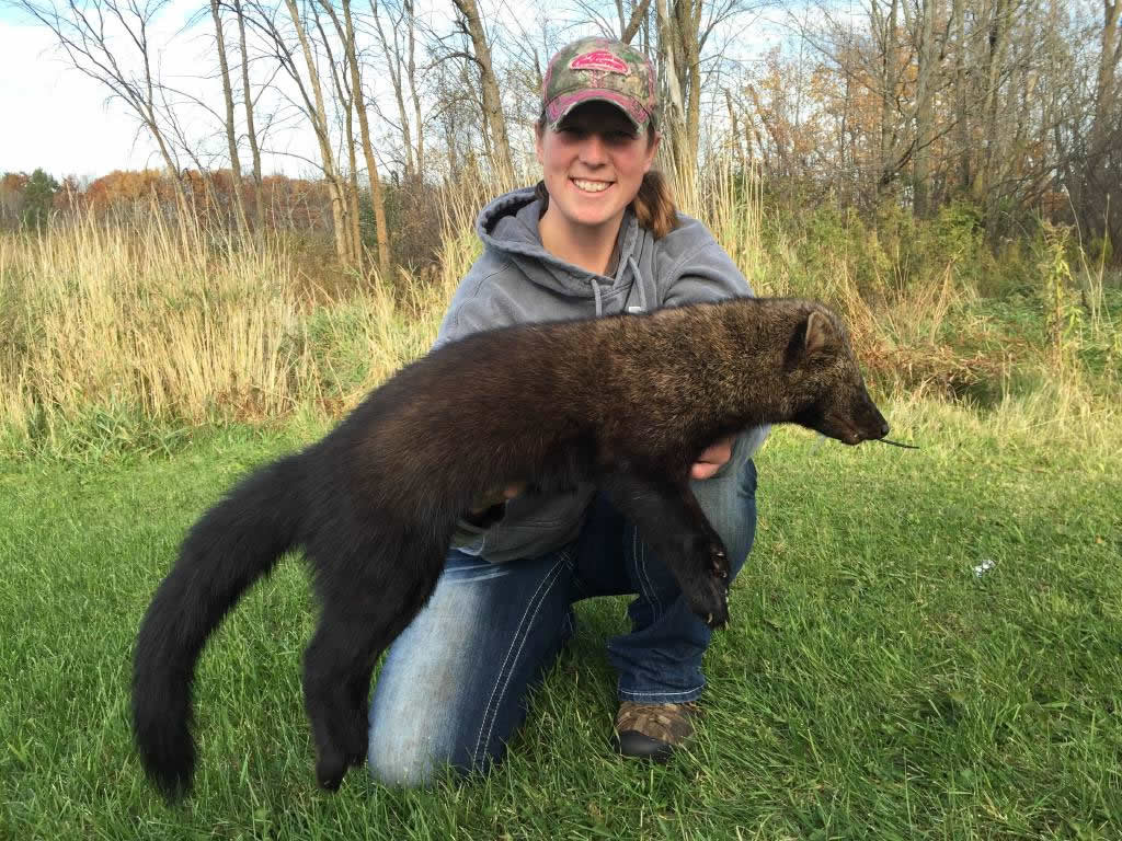 Fisher Trapping Big Bear Guide Service