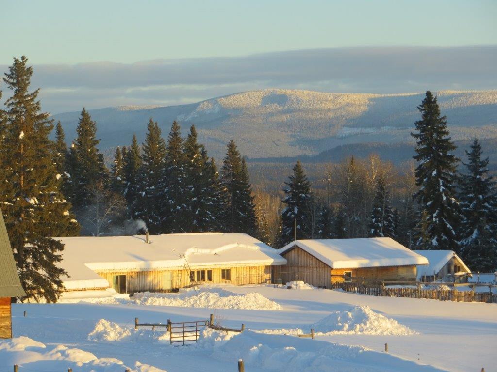 February on Big Bear Ranch Big Bear Ranch