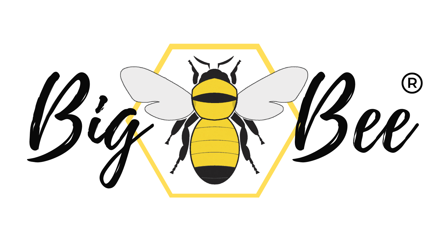 Meet the Queen Bee Big Bee Content