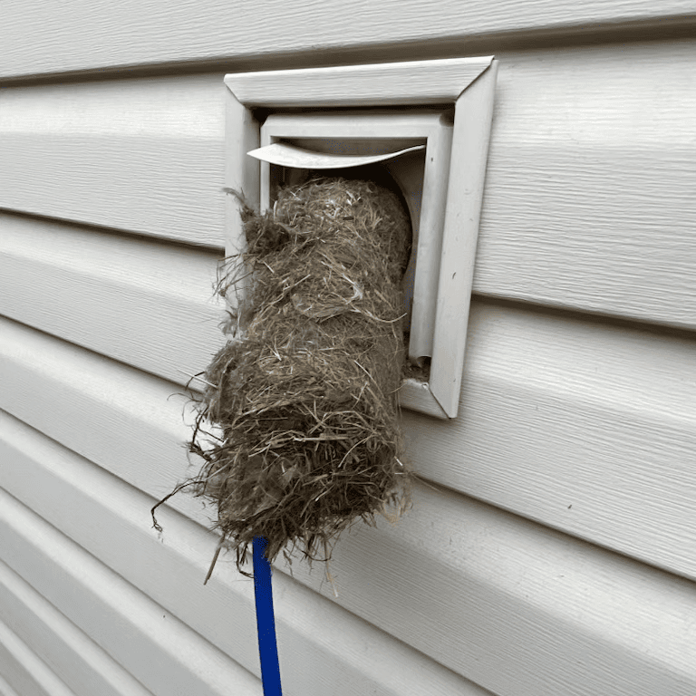 A Breath of Fresh Air Cleaning Dryer Vents from the Exterior with