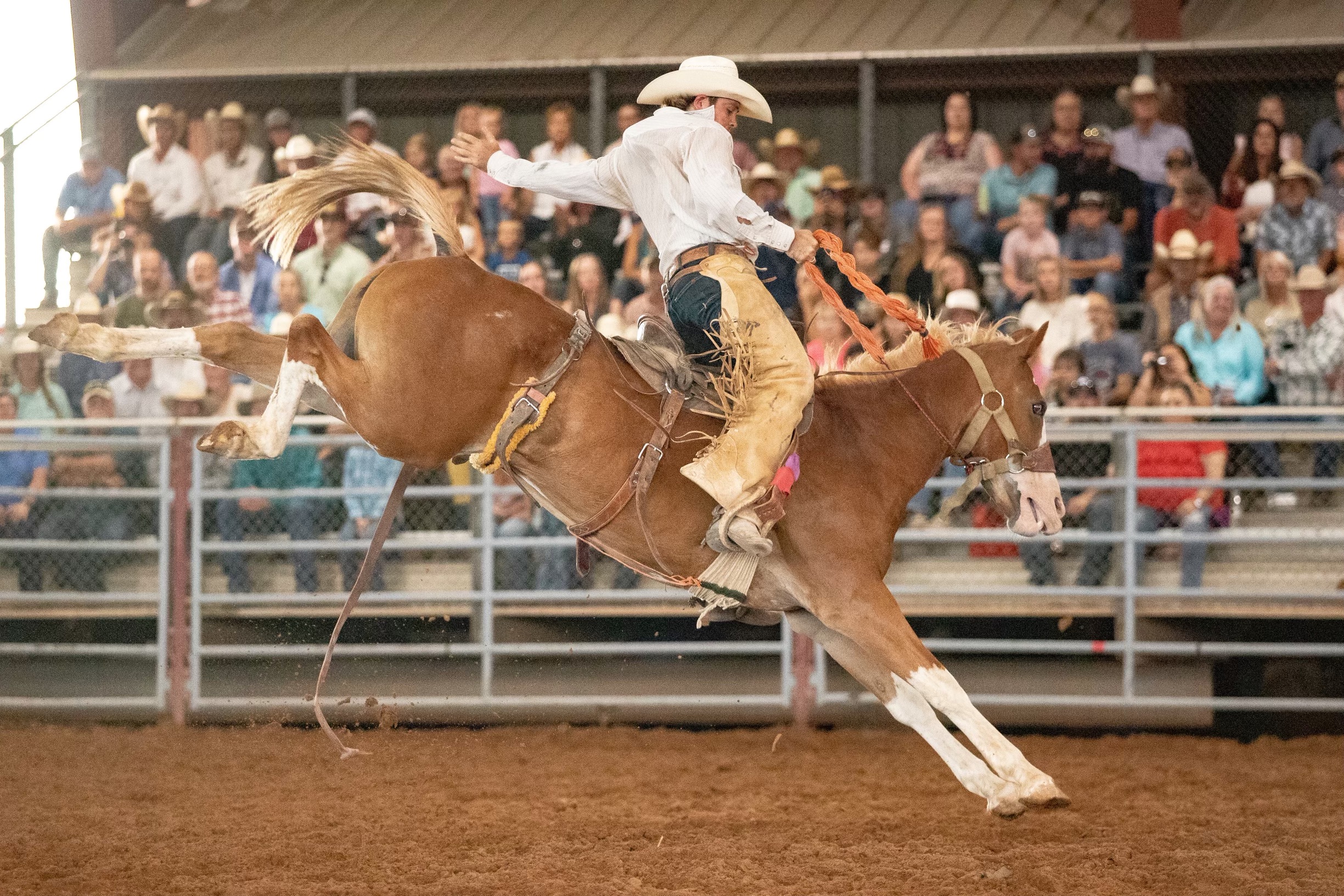Big Bend Ranch Rodeo takes place in Alpine The Big Bend Sentinel