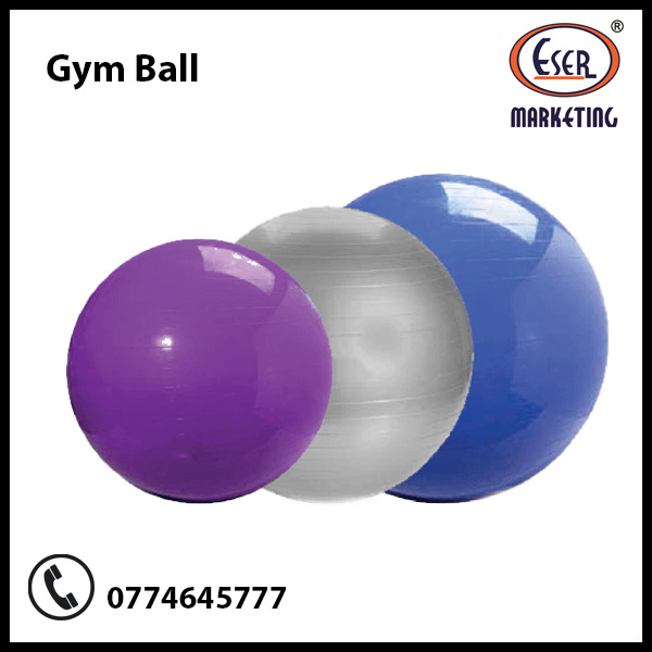 Gym Ball Big Bosa
