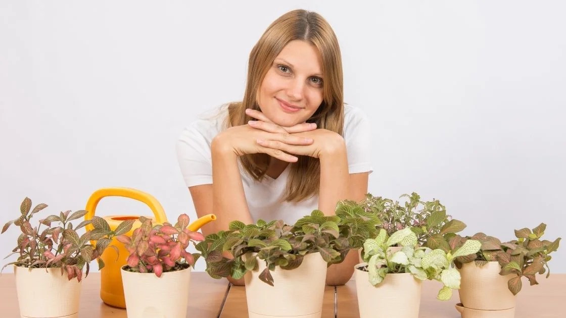 9 Indoor Plants For Spiritual Protection And Positive Energy