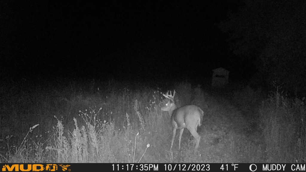 Sanilac County, MI Hunt Property Big Buck Leasing