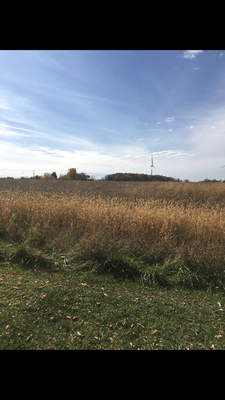 Tuscola County, MI Big Buck Leasing