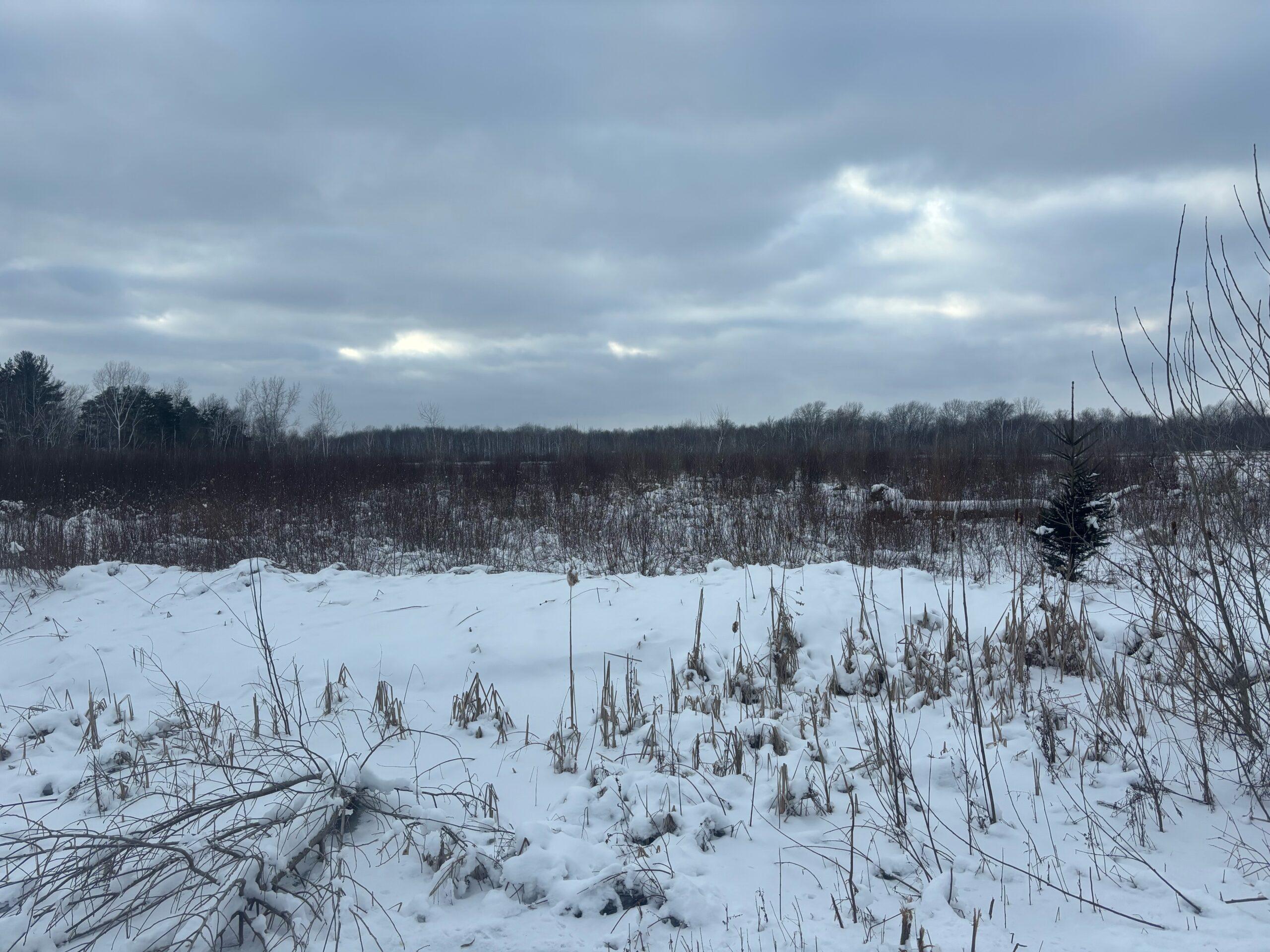 Tuscola County, MI Big Buck Leasing