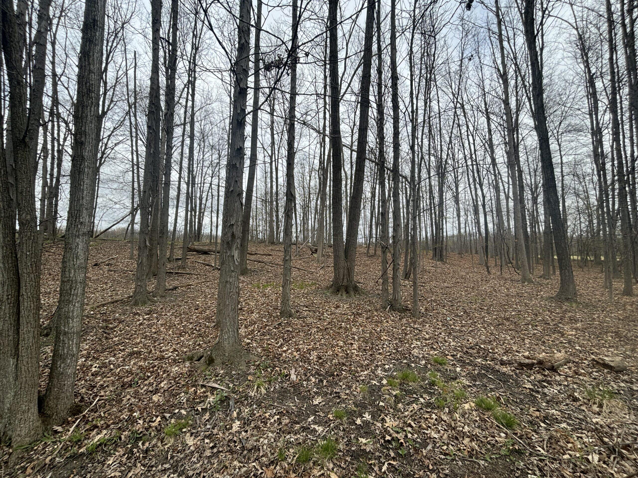 St. Clair County, MI Big Buck Leasing