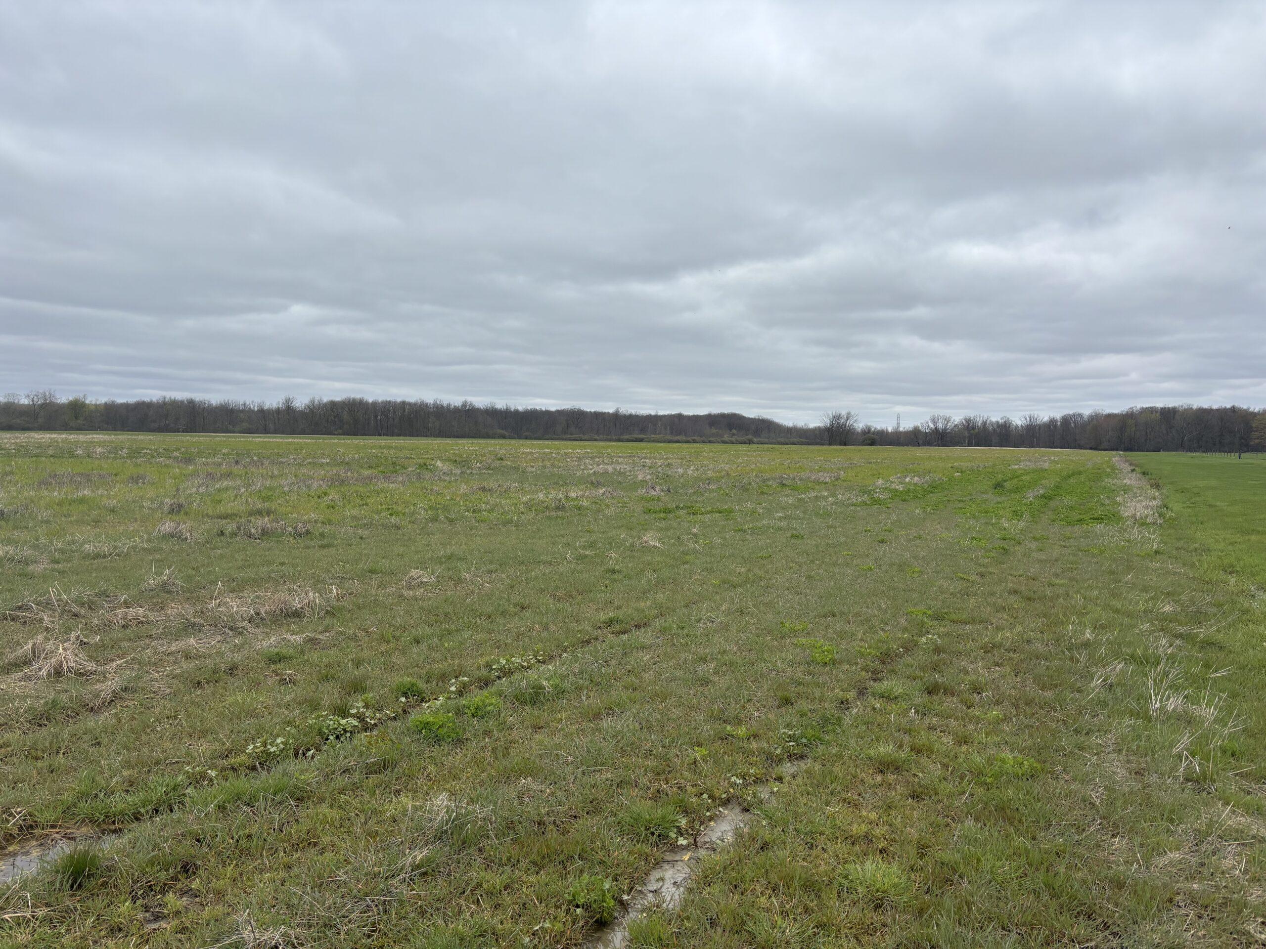 County, MI Big Buck Leasing