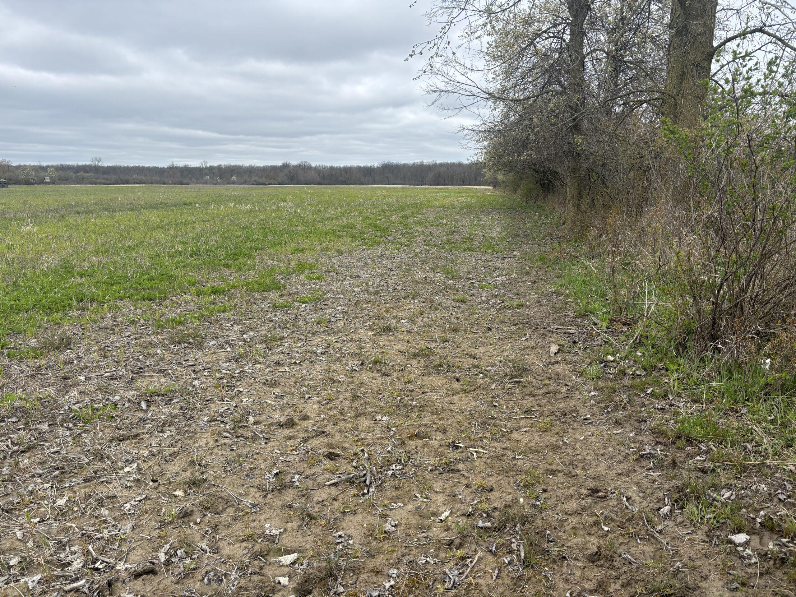 County, MI Big Buck Leasing