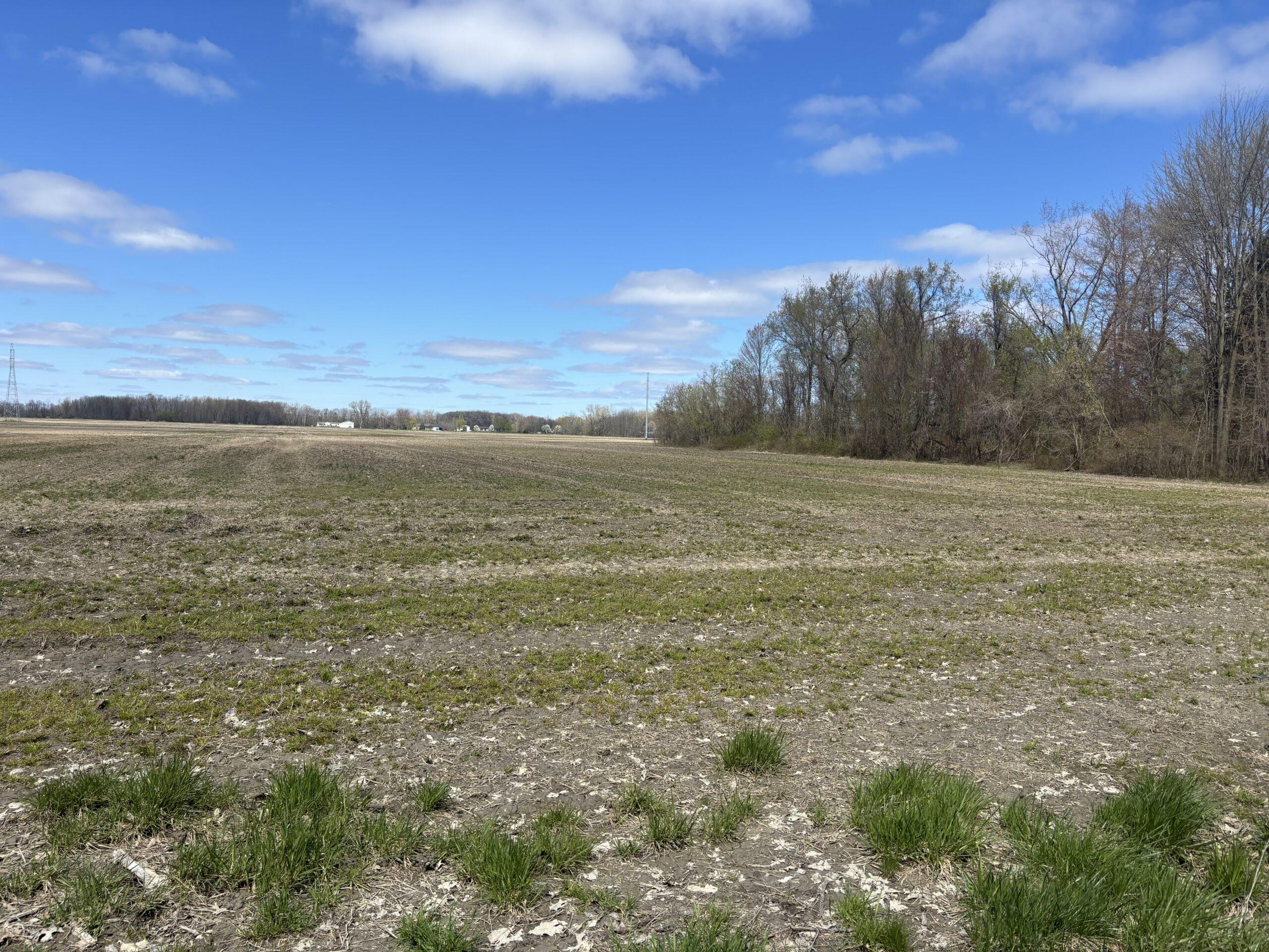 St. Clair County, MI Big Buck Leasing