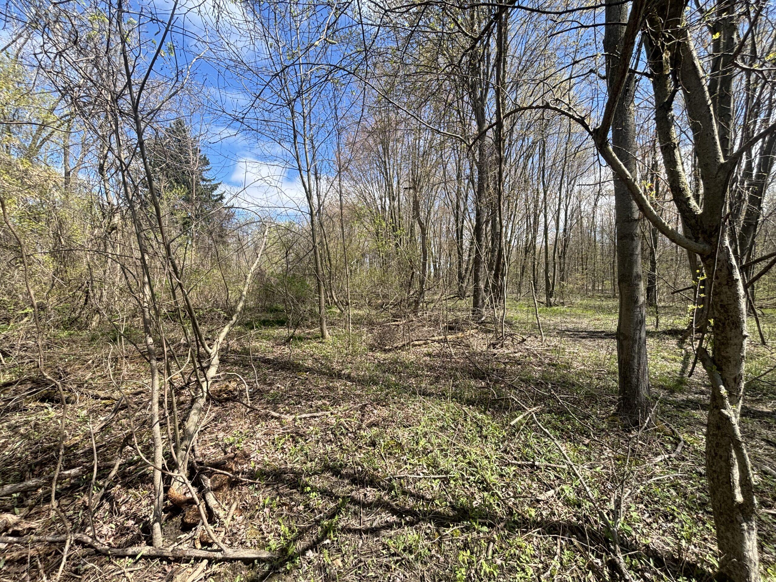 St. Clair County, MI Big Buck Leasing