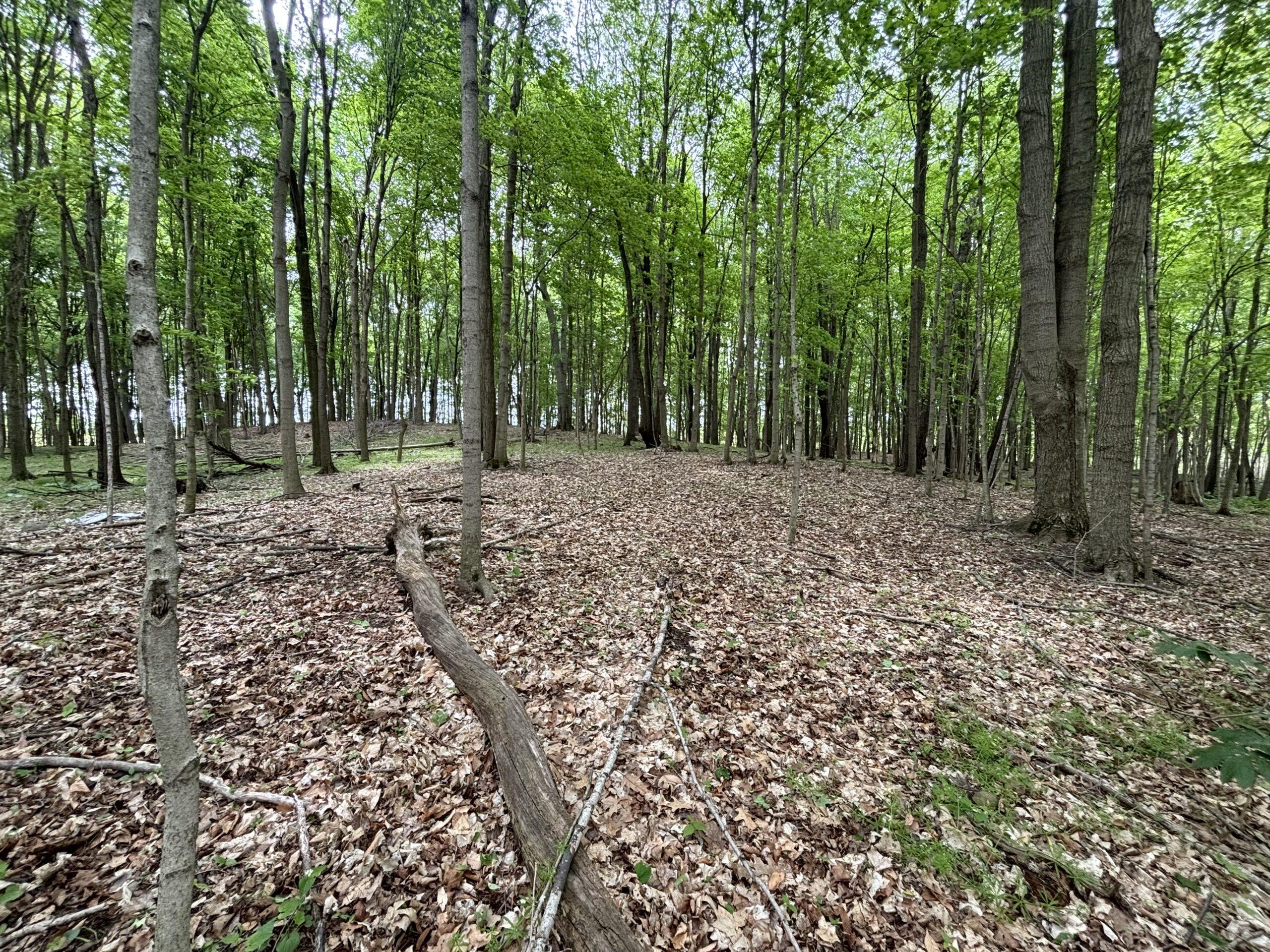 Eaton County, MI Big Buck Leasing