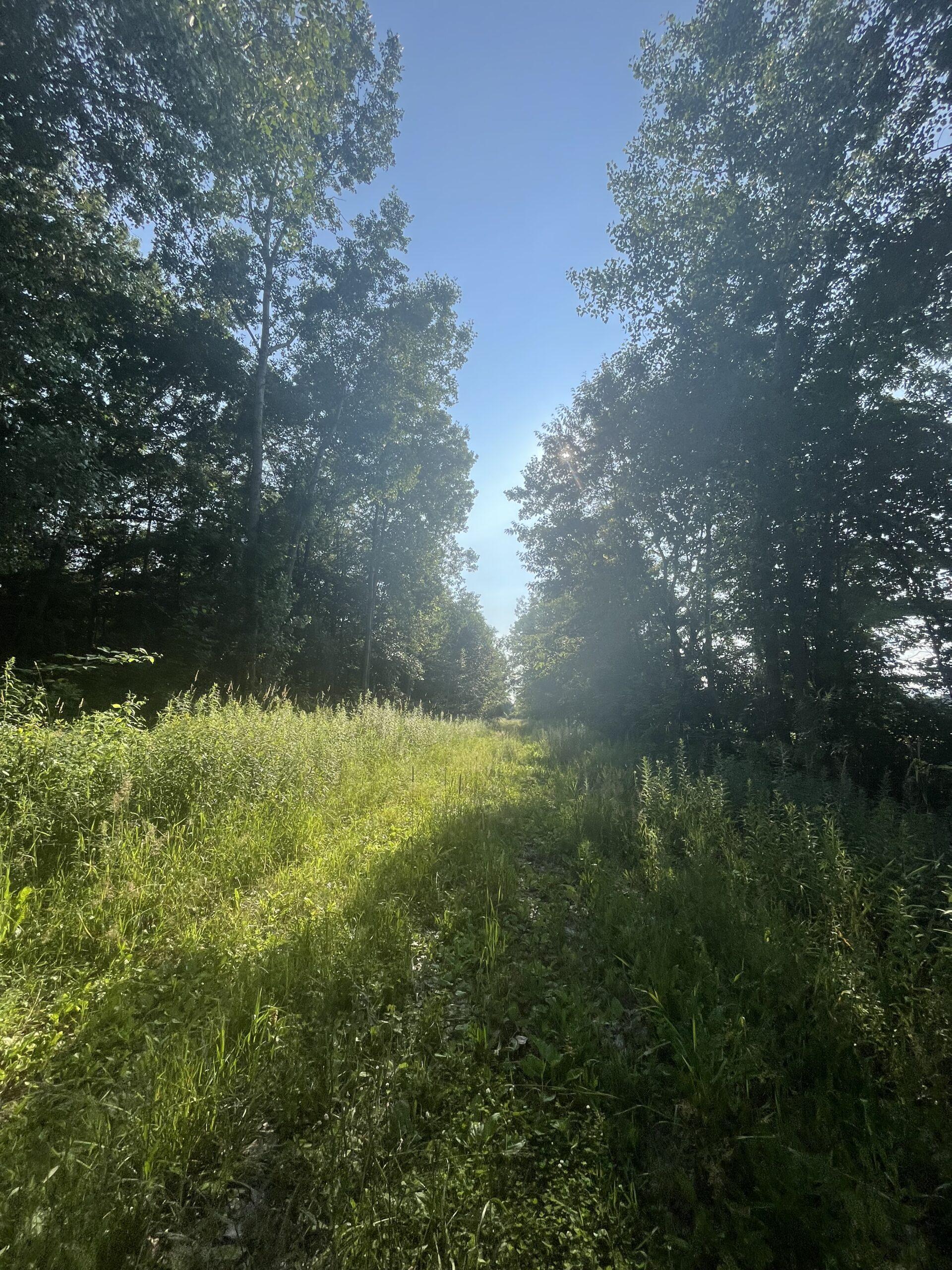 Tuscola County, MI Big Buck Leasing