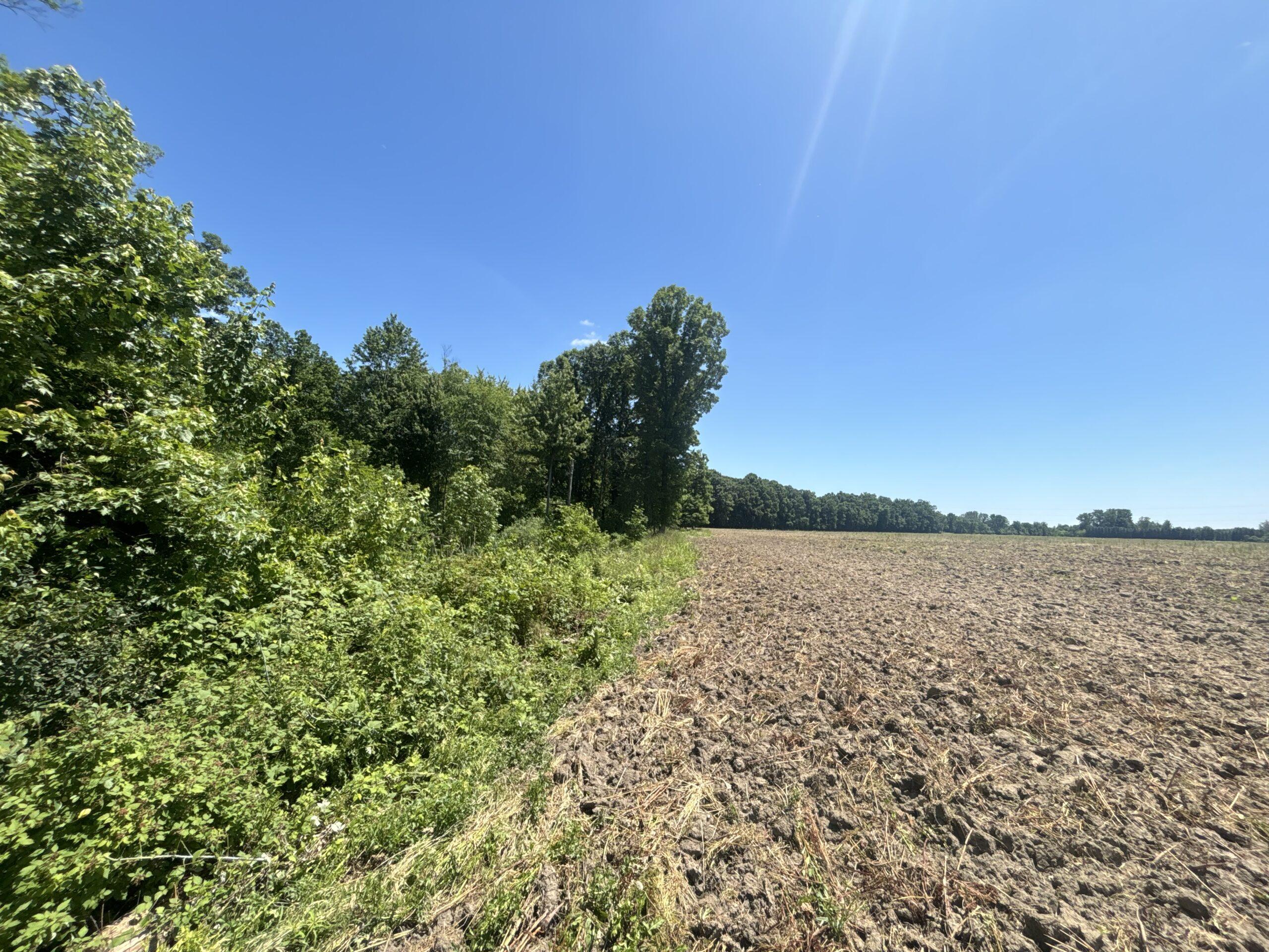 County, MI Big Buck Leasing